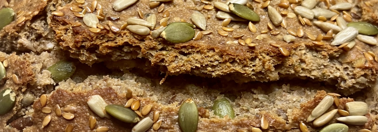 Grain Free Sourdough Bread