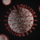 Spike Protein Coronavirus